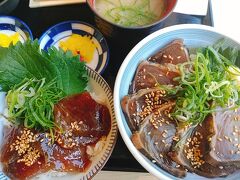 左：まぐろ漬け丼（小）
右：鰹のタタキ丼セット

朝から海鮮！どちらも美味しかったー
静岡おでんもあったけれどまだ温まっていなくて買えなかったのが残念。