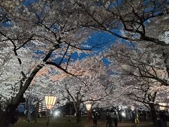 盛岡に着いてホテルにチエックインしてから自転車を借りて盛岡城址公園に行きました。