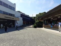 観光を終え、左のカフェで休憩かねてお昼ごはん