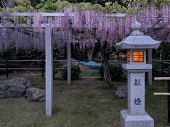 三大神社砂ずりの藤