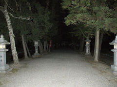 志那神社黒松の参道