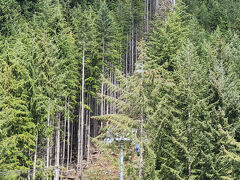 グラウス山　Grouse Mountain Resort

4/30　2日目ゴルフ後行きました　
ゴンドラとロープウェイがあるがゴンドラしか動いていませんでした
1人CA＄100くらい