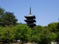 仁和寺から出ると目の前でバスが行ってしまいました。次のバスまで時間があるのとバス停からも歩くので、タクシーで移動します。