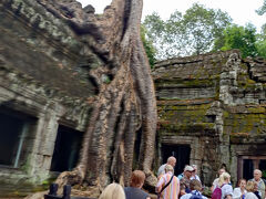 映画で有名になったタプローム。欧米の団体さんも観光してます。カンボジアはフランス領だったからか、フランスの方が多いそうです。