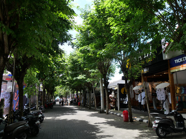 広いメインの参道に出ました。<br /><br />真っ直ぐ下っていきます。