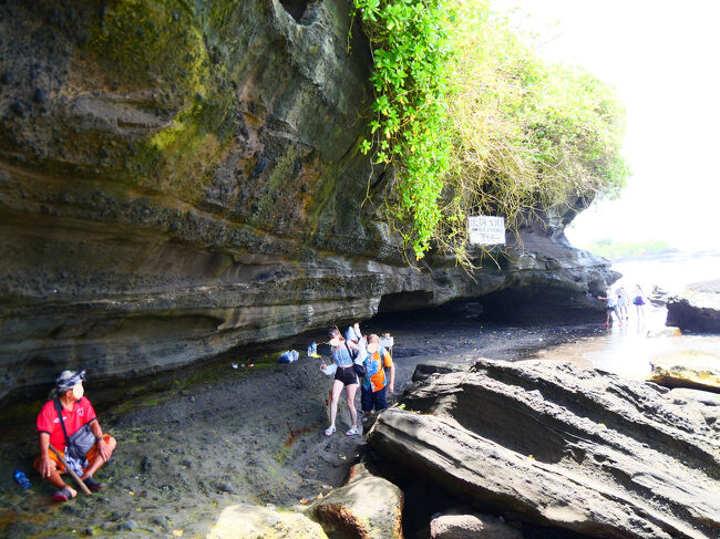 高台の下にはHoly Snake（聖なる蛇）と書かれたな看板があります。<br /><br />ここには神聖な生き物として崇められがいて、触ることが出来るそうです。<br />私は、潮が満ちてきていることもあって触りには行きませんでした。
