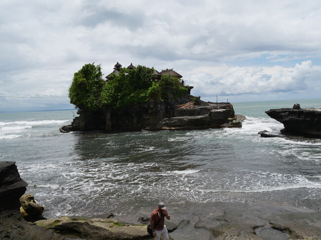 岸辺より一段高くなった展望所からの眺め。