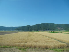 券売機で切符を買って速攻乗車
八幡浜 8:12 ⇒ 卯之町 8:38 JR予讃線 @330

のんびりした風景を眺めていると