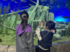 時間が少し余ったので、こちらへ～

バタバタしてしまったものの、稚魚の放流をしたり、お値段の割に盛りだくさんで楽しむことができました。