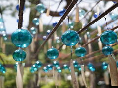 ３日目はレンタカーを借りて正寿院へ