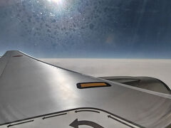 さすがに上空は快晴☆