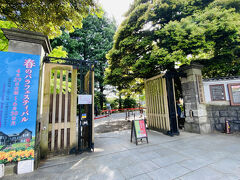 せっかく駒込まで来たので、もう1ヶ所行ってみます。
六義園から歩いて20分ほどで、旧古河庭園。
入場料150円→無料になります。