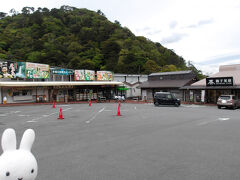 ということで、道の駅天城越えから車を走らせます。
やって来たところは、浄蓮の滝。