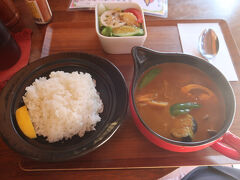 「スープカレーの店 つくし」という店に入りました。
こちらは野菜カレー。美味です。