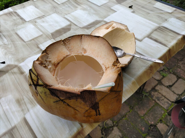 淡白ながらも甘味があり、一息つくことが出来ました。<br /><br />スプーンで内側の白い果肉をこそぎ取って食べることが出来ます。<br /><br />料金はIDR25,000（≒250円）。