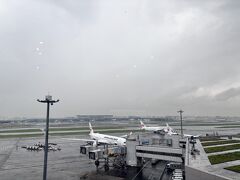 お馴染み羽田空港。この日は天気が悪かったので早めに家を出てスタバから飛行機を眺めていました。