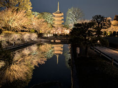 すっかり日も落ちて雨もパラパラ
天気が少し心配だけどツアーに付いていた特典

「東寺ライトアップ入場」

私は東寺初めて
新幹線から見える五重塔で満足してたよ（笑）