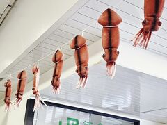 地元のスーパーは食生活が垣間見れて、ほんとに楽しいな。