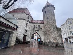 この辺りも晴れてたら歩きやすいだろうなぁ