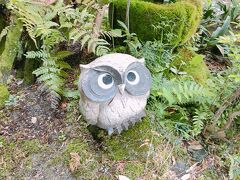 吐田極楽寺に立ち寄りました