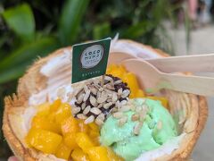 coco mama
続いてDモールにあるおしゃれアイス屋さん。
ココナッツミルクアイスとパンダンアイスのミックスにマンゴートッピング。フレッシュココナッツのチュルチュルも、おいしい。600円位。