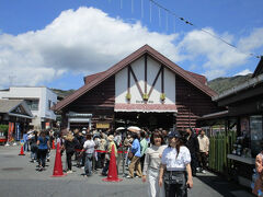 ちゅーことで。。。ギュウギュウすし詰めの

登山鉄道に乗り、スイッチバックもしつつ

強羅駅に到着～。どうもここからのケーブルカー

は激混みで、更に上のロープウェイは一時間待ち？？

ふふふ～んだ。乗らないもんね～