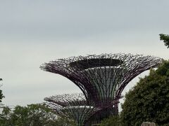 この風景も目新しくて
「あー、ずっと旅行記とかで見ていたここだー」と感無量です（笑）