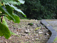 宮古島市熱帯植物園