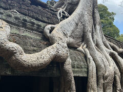 生命力を感じます。
少し怖いです。