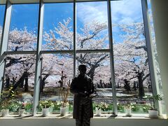 晴天のうえ桜満開。なので展望台へのエレベーター利用に長蛇の列。展望台入場券は事前にコンビニで購入しておいたけど、こちらの列もなかなかの長蛇でしたので、コンビニ事前購入がおすすめです。