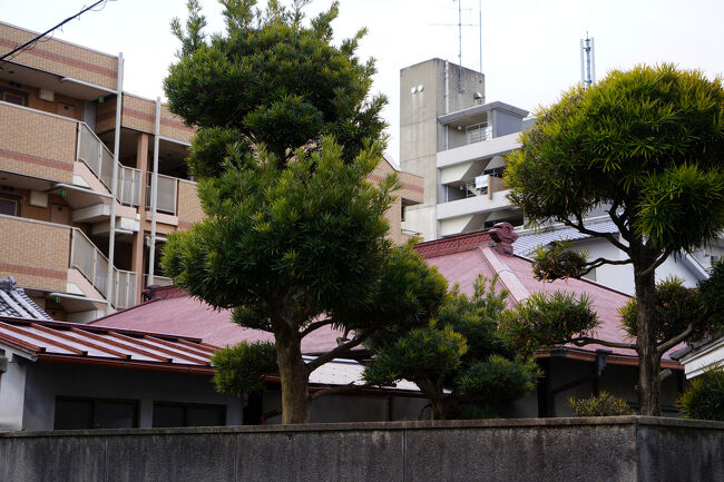 トタン板に葺き替えられていますが、元は茅葺屋根だったのではないかと想像されます。