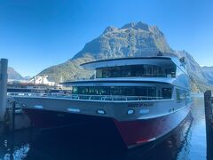 立派なクルーズ船が何隻も停泊してました。