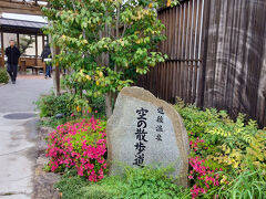 ボランティアガイドさんおすすめの空の散歩道。