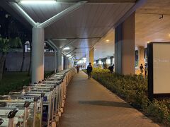 タンソンニャットに着き、国際線へ徒歩移動。
チェックインはカウンターへ。
深夜に長蛇の列に1時間並んでクタクタ。