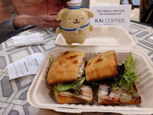 GW期間の値下げ！Angulo Hawaii アングロ ハワイ レトロボード