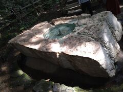 すごく人工物感がしたけど、4台目とのこと。
それなら仕方ない…