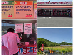 伊豆長岡駅からタクシーで江間いちご狩りセンターまで10分で到着します。

5/5までだったのでギリギリでいちご狩りが出来ました♪
入園料1,600円  30分食べ放題です。
