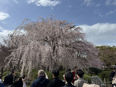 円山公園