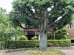 普段は入れない新島襄の家が期間限定で公開されていました。