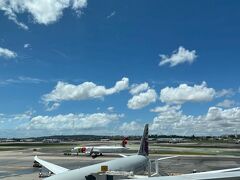 成田からドーハまで12時間、トランジットで5時間、ドーハからリスボンが7時間。
丸一日かかってリスボンウンベルトデルガート空港に到着。遠かった～