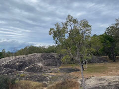 グラナイトコージーというキャンプ場です。
ここにはロックワラビーが住み着いています。元は親を失って人間に育てられたワラビーを放したところ、人間に餌をもらえるため何代もここに住み着いているそうです。