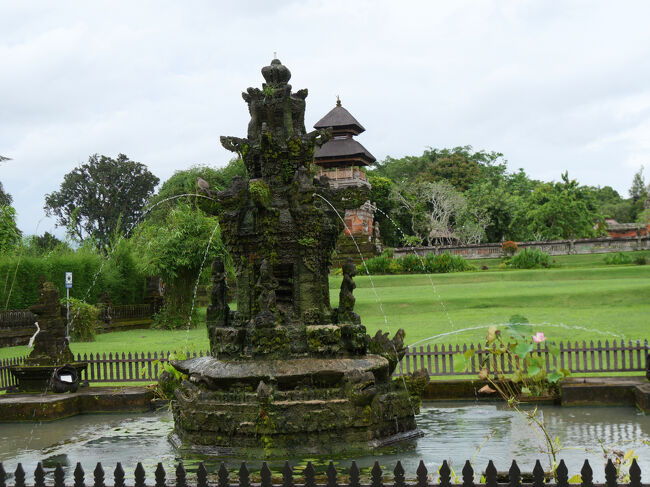 ズームアップ。