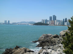 冬柏公園