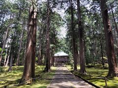 そこから程近く、白山神社へ行ってきました。まだかろうじて涼しかったです。境内はとても広くて、結構歩きます。