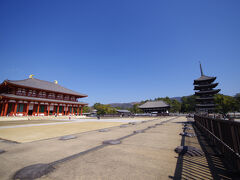 いつも時間の関係で訪れることのできない興福寺を初訪問。
人手も多くないので混雑もしておらず、なかなかの見応えでした。