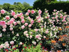 アメリカ山公園