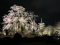 【東寺】
京都駅のすぐ南にある東寺のライトアップこれまで何度も　その混雑ぶりに出会いましたがあ、今回はソメイヨシノの満開にならない時期なので、そんなに混んでおりませんでした。
