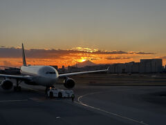 東京・羽田空港（国際線）第3ターミナル

夕陽と富士山とのコラボレーションです。