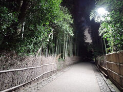 嵐山 竹林の小径