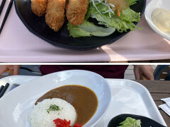 「GRILL TERRACE ABURU」という、京都の食と文化を発信するテラスレストランとの事です。

私はカキフライプレート、奥様はとろとろ牛筋カレーを発注、テラスで気持ち良い風に吹かれながら、美味しく頂きました。